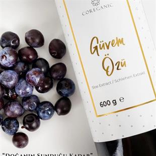 Fit & Alive Coreganic Güvem Eriği Özü 600 gr