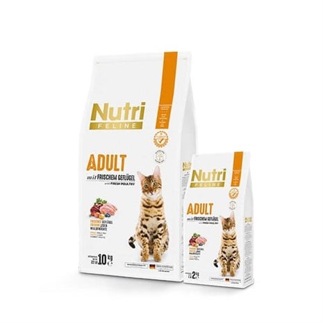 Nutri Feline Tavuklu Yetişkin Tahılsız Kedi Maması 10 kg