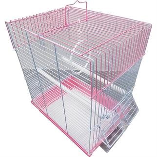 Dayang Düz İki Kapılı Renkli Muhaabbet Kafesi 30x23x39 Cm