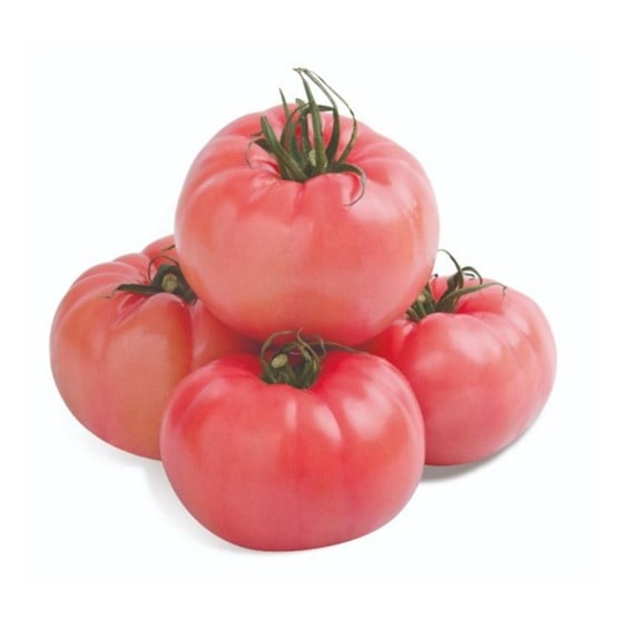 Domates Biff Kg