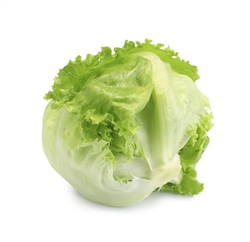 Göbek Marul (Aysberg) Adet