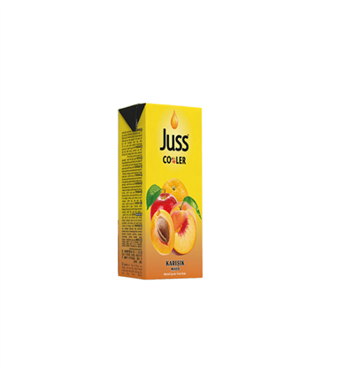 Juss Cooler Karışık Meyve Suyu 200 ml