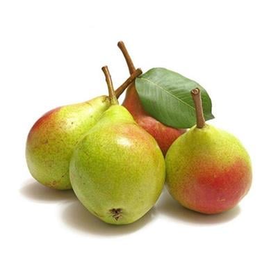 KY LEBLEBİ  ÇEŞİTLERİ