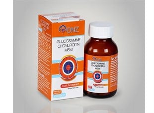 DNZ Glucosamine Chondroitin MSM 60 Tablet