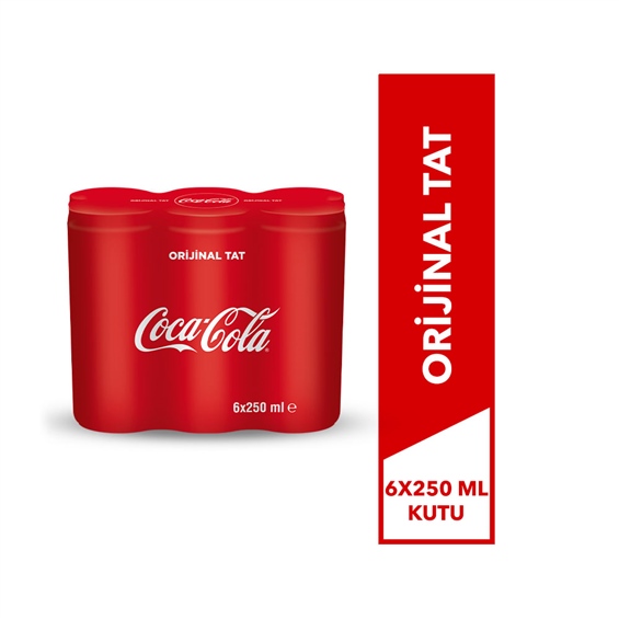 Coca Cola 6'lı 250 ml