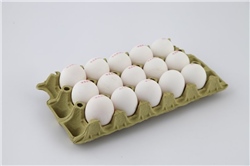 YUMURTA Ümit 15 li Beyaz