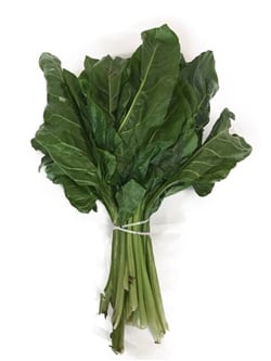 Pazı Yaprağı Adet