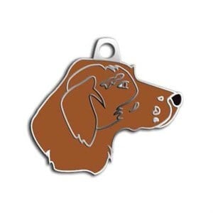 Dalis Pet Tag Pointer Köpek Künyesi (Kahverengi)