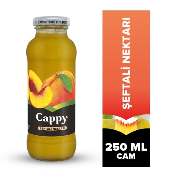 Cappy Karışık Meyve Suyu Cam Şişe 250 ml