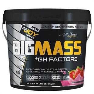BigJoy Sports Bigmass +GH Factors Çilek 5 kg