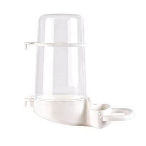 IMAC Gıusy Paraket Ve Papağan Suluğu