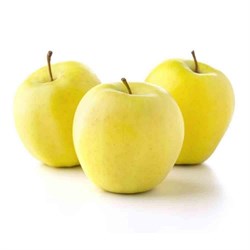 Elma Golden  Sarı Kg