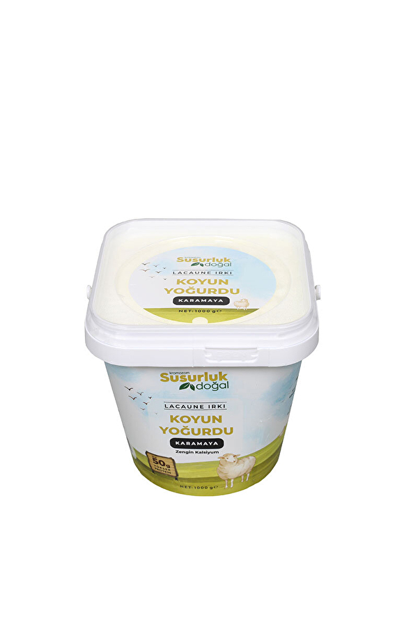 Kromozom Susurluk Doğal Lacaune Irkı Koyun Yoğurdu 1000 G