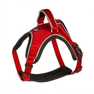 Duvo+ West Harness Köpek Göğüs Tasması Kırmızı XX Large