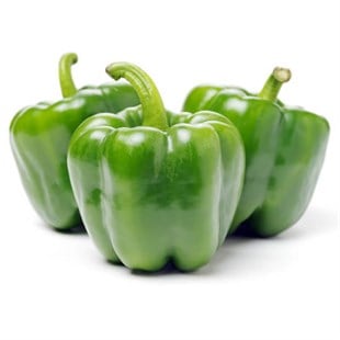 Biber Dolma Biberi (Kg)