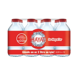 Hayat Su 12x330 ml 