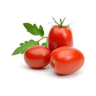 Domates Salçalık Anarşi (Kg)