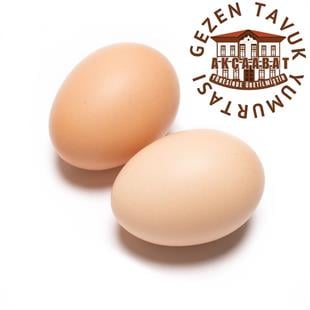 Gezen Tavuk Köy Yumurtası (Çift)