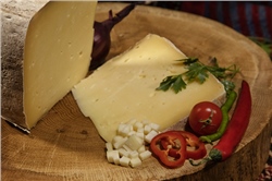 Trakya Kelle Kaşar Kg