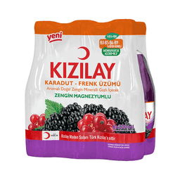 Kızılay Karadut ve Frenk Üzümü Maden Suyu 6x200 Ml