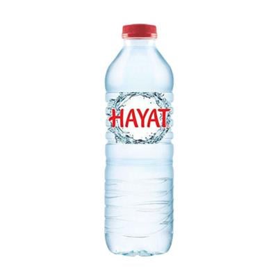 Hayat Su 0,5 Lt Pet