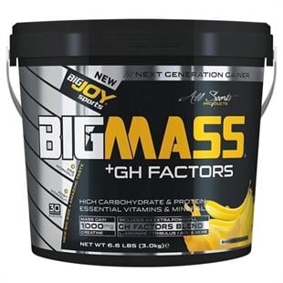 BigJoy Sports Bigmass GH+ Factors Muzlu 3000 gr