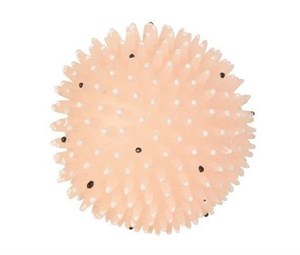 Trixie Köpek Oyun Topu Vinyl  ø 10 cm