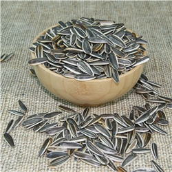 Siyah Çekirdek Tuzsuz Kg