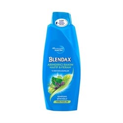 Blendax Şampuan Aleo Vera Özlü 500 Ml