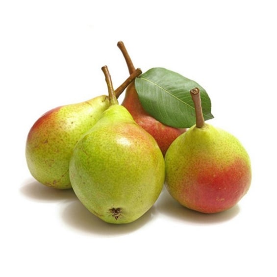 Armut Santa Maria kg