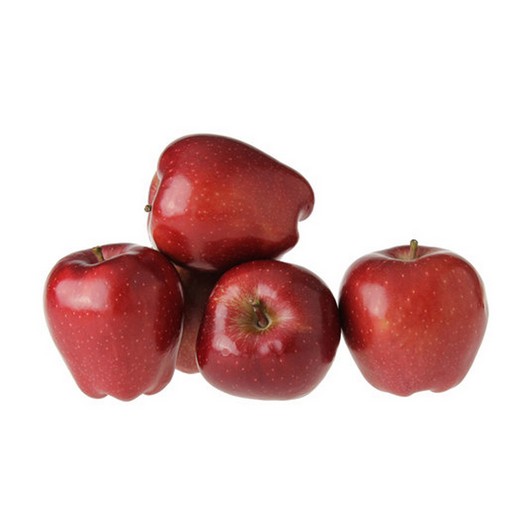 Elma Starking Lüx Kg