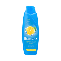 Blendax Kepeğe Karşı Etkili Saç Bakım Kremi 500 Ml