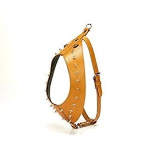 Doggie Gladyatör Dikenli Göğüs Tasması M 2x65-70cm Camel