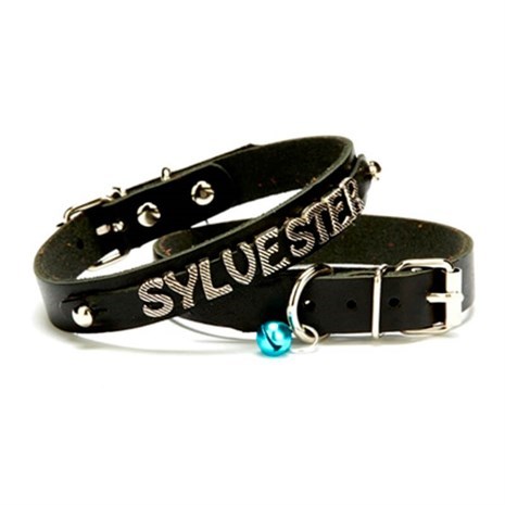 Doggie İsimlikli Deri Boyun Tasması  1,5 x 35cm Siyah