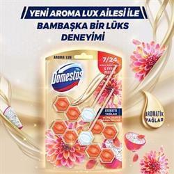 Domestos Wc Blok 7 Güç 100gr Ejder Mavisi