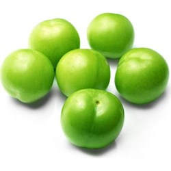 Erik Papaz Yeşil Kg