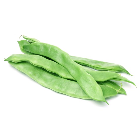 Taze Fasulye kg