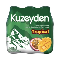 Kuzeyden Tropical Maden Suyu 6x200 ml