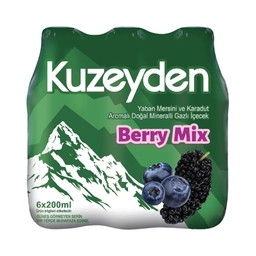 Kuzeyden Berry Mix Maden Suyu 6x200 ml