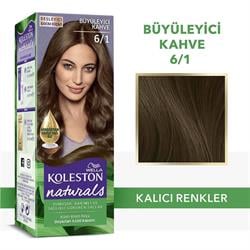 Koleston Saç Boyası Naturel 6/1 Büyüleyici Kahve