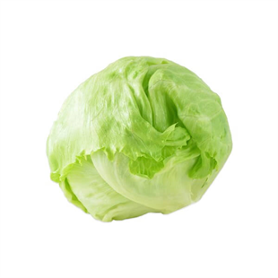 Marul Aysberg Göbek (Bağ)