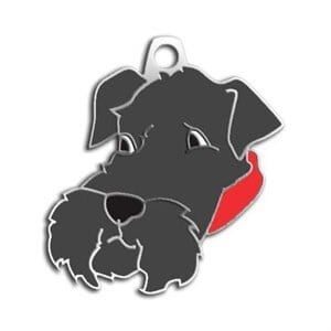 Dalis Pet Tag Schnauzer Köpek Künyesi