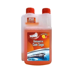 Deepway Mango Kokulu Cam Suyu 450 ml