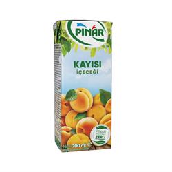 Pınar Meyve Suyu Kayısı 200 ml