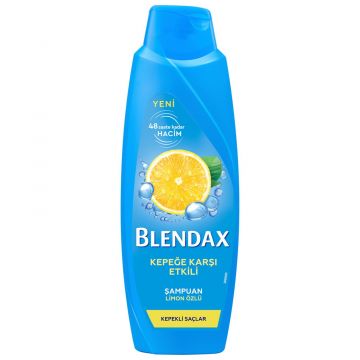 Blendax Şampuan Kepeğe Karşı Etkili 500 Ml