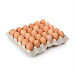 Ümit Yumurta Sarı 30'Lu M