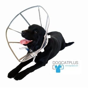 DogCatPlus Elizabeth Şeffaf Yakalık  XLARGE