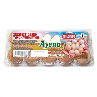 Ayena Gezen Tavuk Yumurtası 10'lu Paket Yumurta