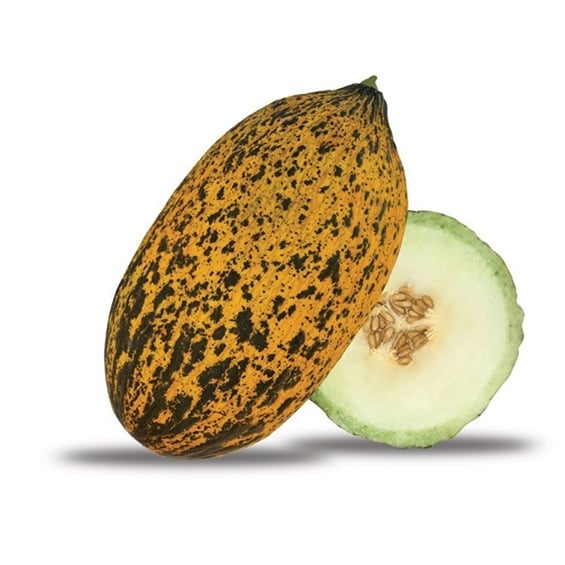 Kırkağaç Kavun kg