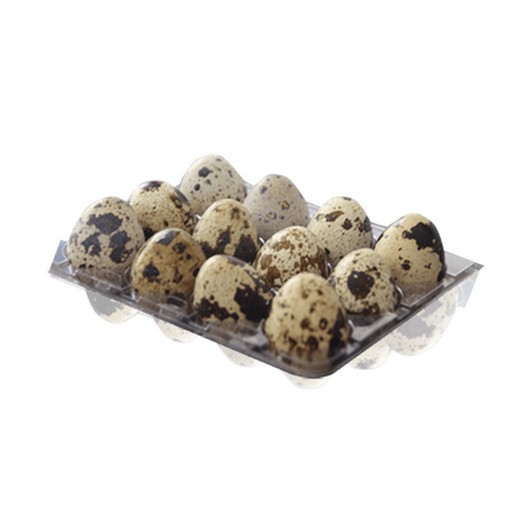 Bıldırcın Yumurtası 12 li